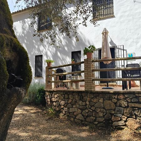קורטגנה Casa Rural Alicia מראה חיצוני תמונה