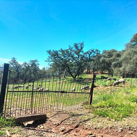 קורטגנה Casa Rural Alicia מראה חיצוני תמונה
