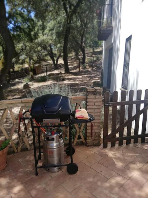 קורטגנה Casa Rural Alicia מראה חיצוני תמונה